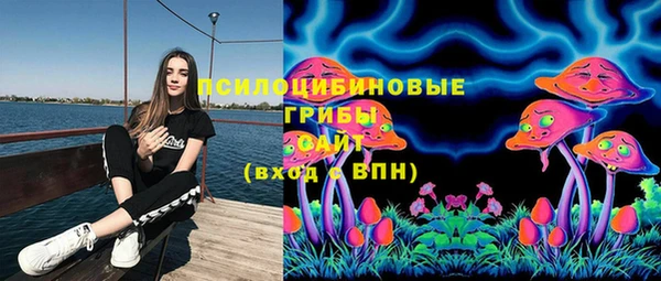 ГАЛЛЮЦИНОГЕННЫЕ ГРИБЫ Абаза