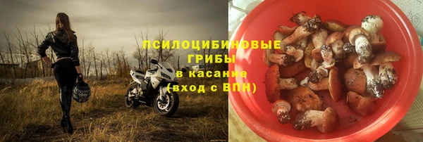 стаф Покровск
