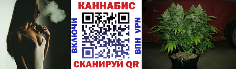 Канабис конопля  где купить наркотик  Шенкурск 